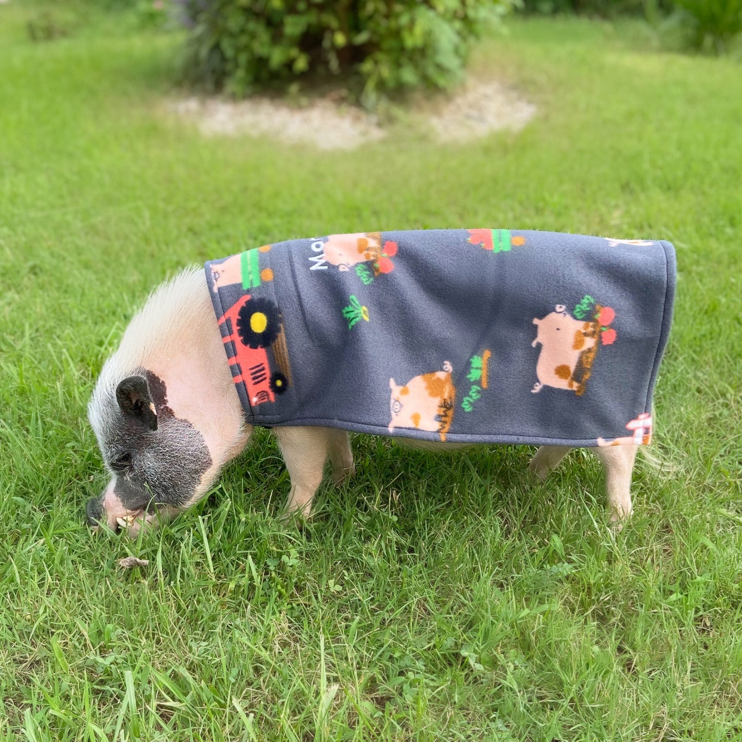Custom Embroidered Easy-on Elastic Cloak Pet Sweater, Mini Pig Clothes