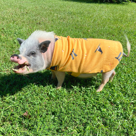 Candy Corn Witch Pig Halloween Fleece Pet Sweater, Mini Pig Coat, Warm Plush Jacket, Shirt, Clothing for Potbelly Pigs, Hogs, & Boar Clothes