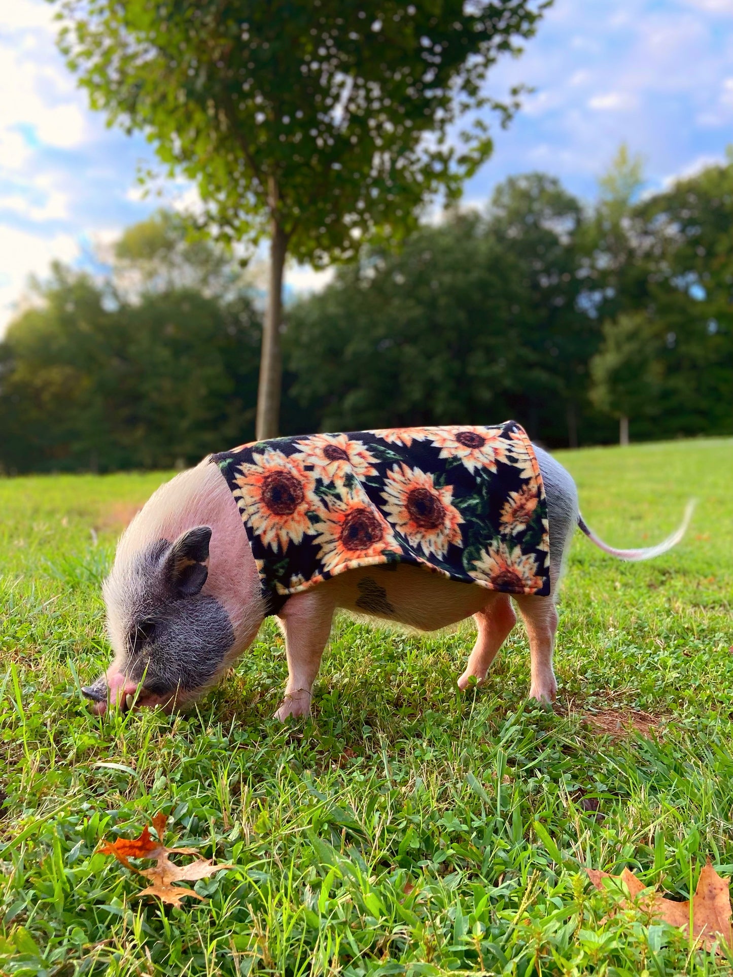 Sunflower Cozy Fleece Pet Pig Sweater, Mini Pig Coat, Warm Plush Jacket, Pet Clothing for Potbelly Pigs, Hogs, & Boar Clothes
