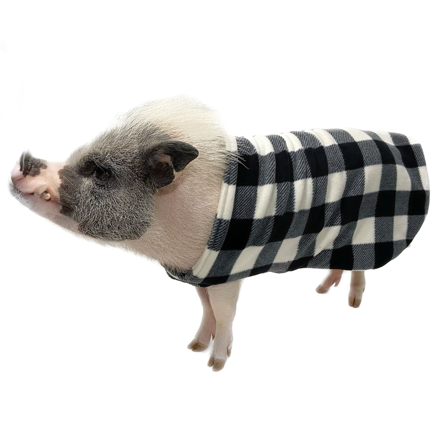 Fleece Strap Sweater Double Layer Pig Coat with Leash Hole - Mini Pig Clothes, Warm Winter Jacket, Clothing for Potbelly Pigs, Hogs, & Boars