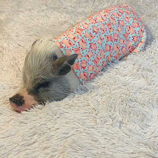 Pig Pajamas, Mini Pig Clothes
